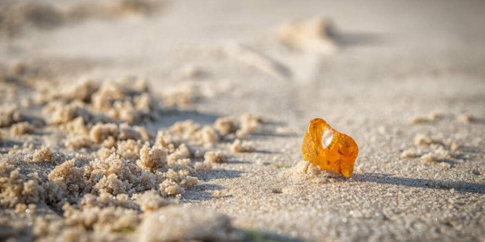 Bernstein im Sand ©AdobeStock | Patrick