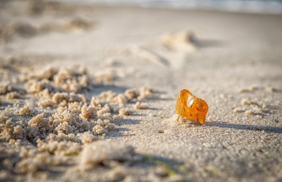 Bernstein im Sand ©AdobeStock | Patrick